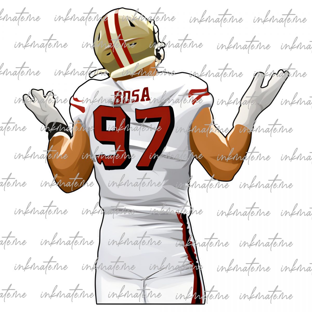 49ers Victory, San Francisco Football