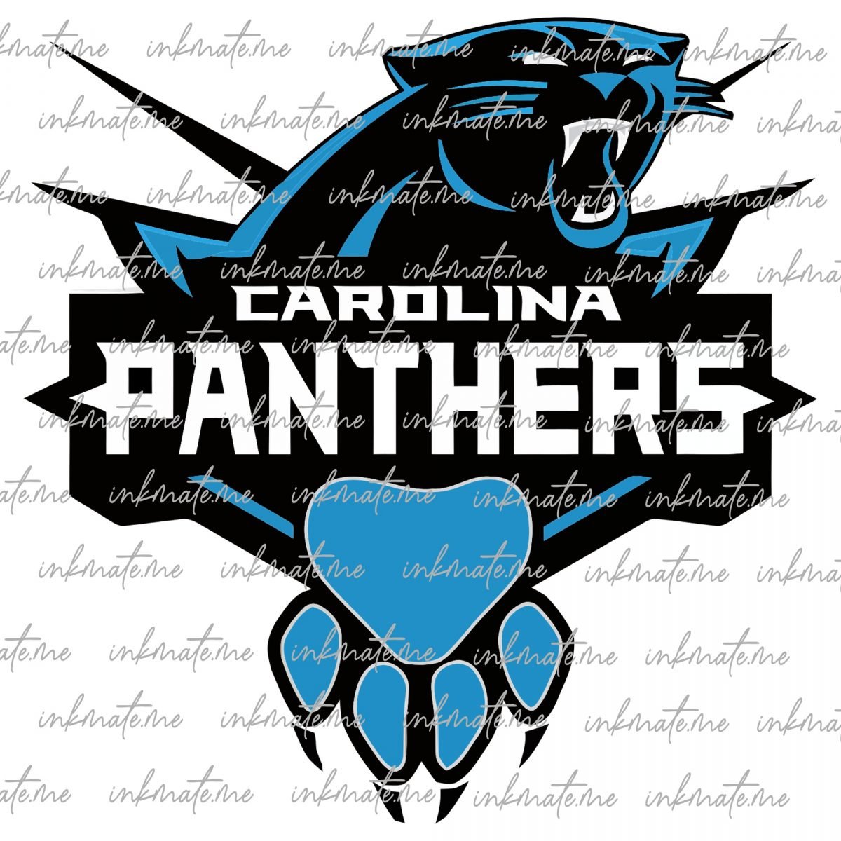 Carolina Panthers Player, Carolina Panthers Mascot, Panthers Helmet, NFL Carolina Panthers