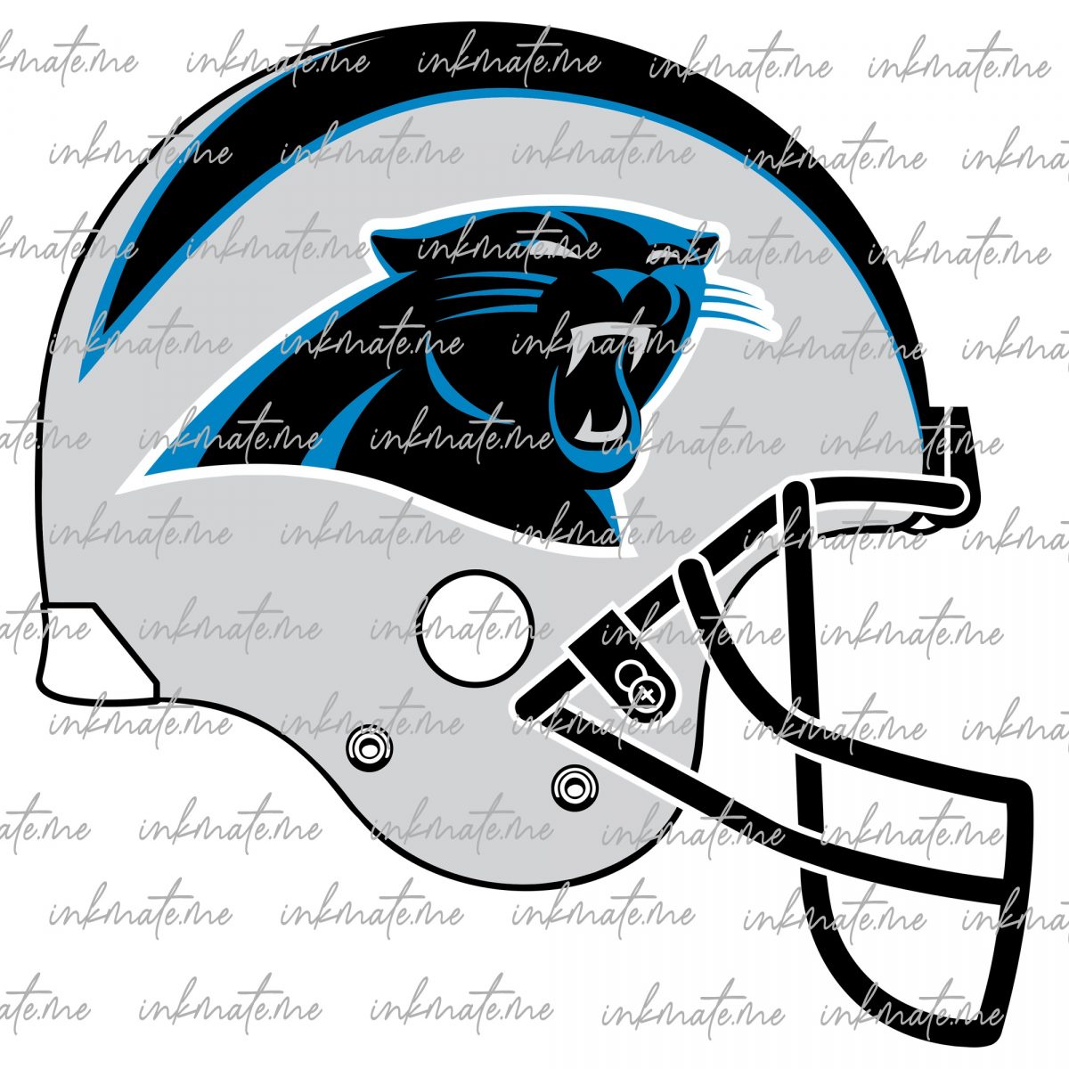 Carolina Panthers Mascot, Panthers Game Day, Carolina Panthers Logo, Panthers Touchdown