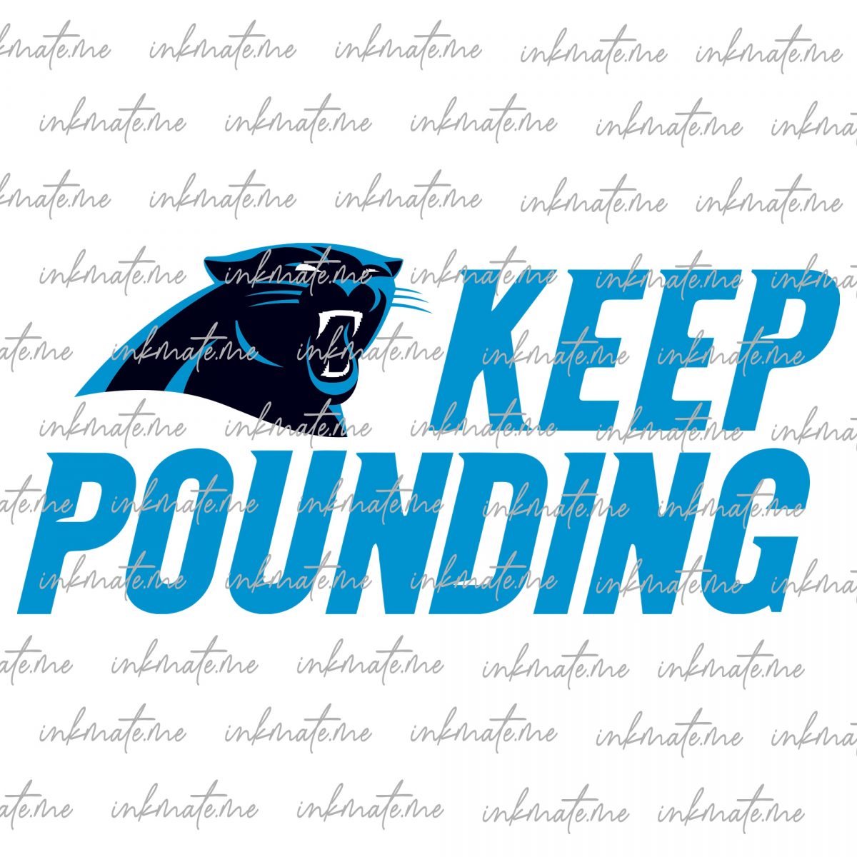 NFL Carolina Panthers, Panthers Helmet, Panthers Game Day