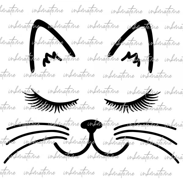 Whiskers, Cat Nap, Cute Cat, Furry Friend, Playful Cat, Kitty Love