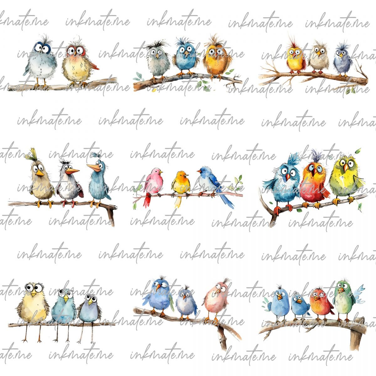 Funny and Cute Birds PNG Bundle- Watercolor Bird Animal| Printable Transparent Art | Digital Download | Commercial Use