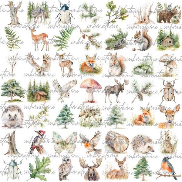 Forest Animals Bundle,PNG Forest Cliparts,Junk Journal,Scrapbook,Clipart Bundle,Instant Digital Download,Woodland,Animal Digital Graphics