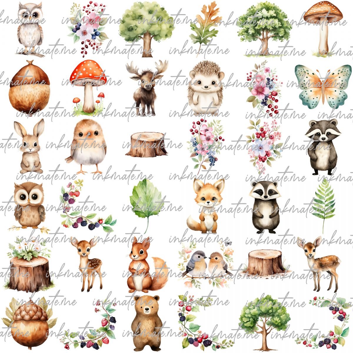 Boho Woodland Animals Clipart, Safari Animals Clipart, Bear, Fox, Raccoon, Hedgehog, Deer, Jungle Graphics, Cute Animals Png, Nursery Art