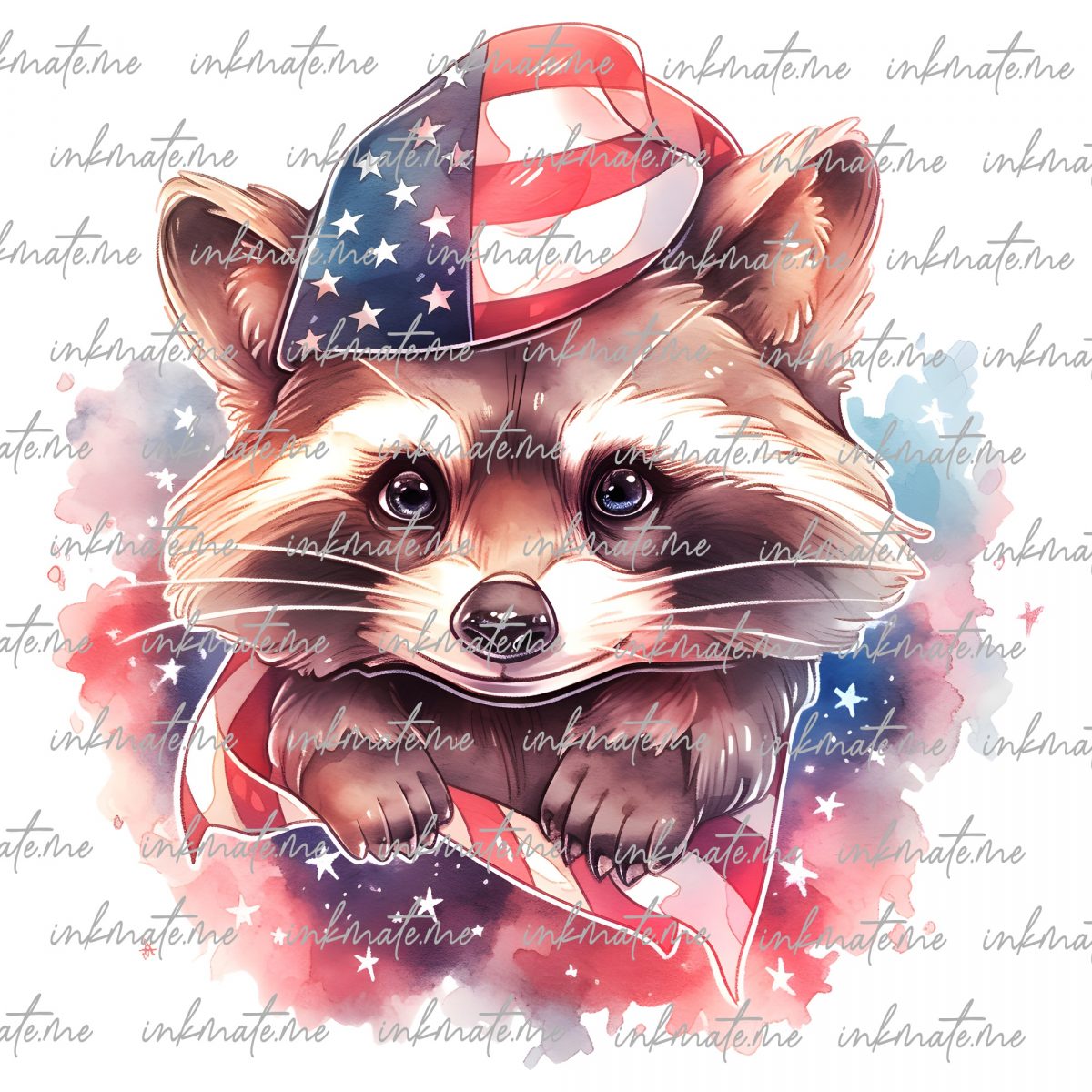 Raccoon Pictures, Cute Raccoons