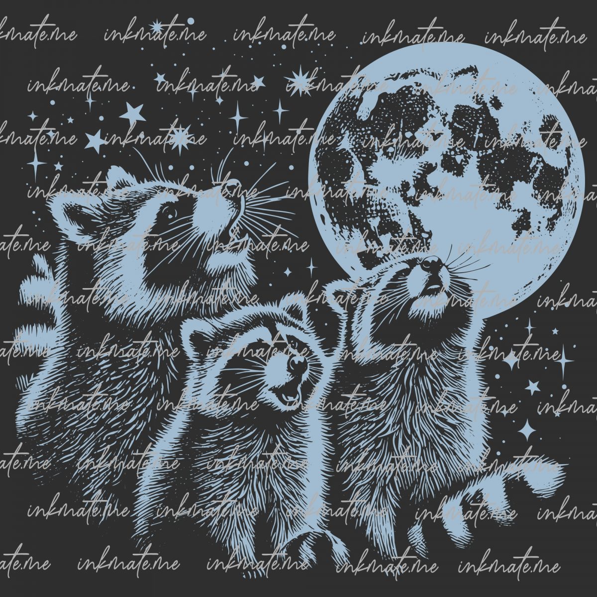 Cute Raccoons, Raccoon Nature, Raccoon Adventures, Raccoon Art