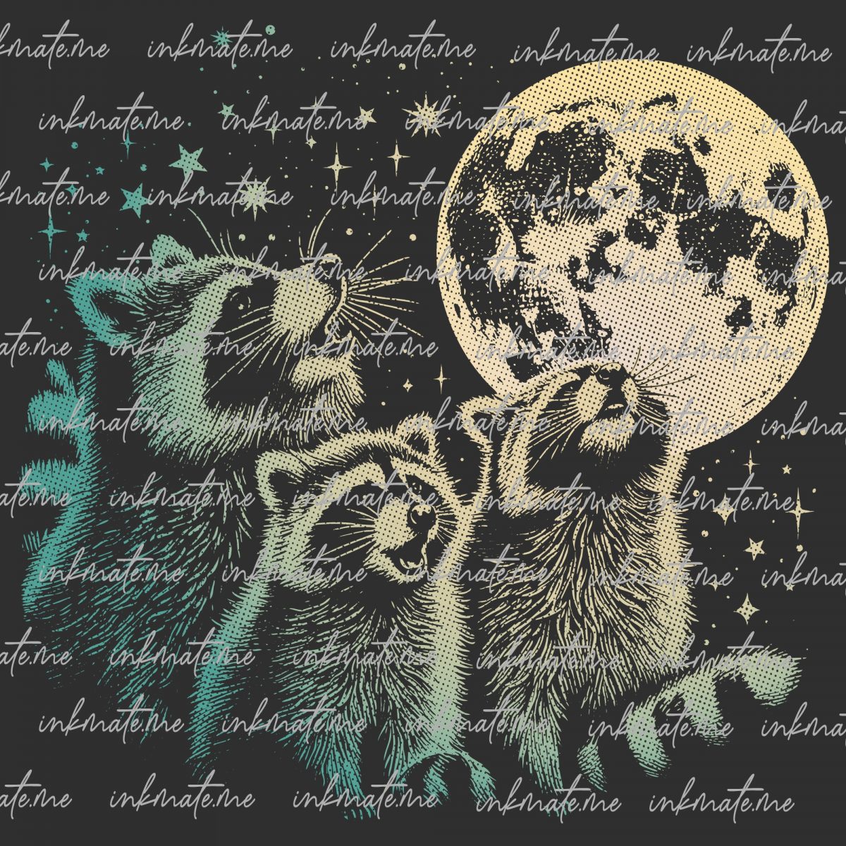 Raccoon Family, Raccoon Art, Playful Raccoons, Cute Raccoons, Raccoon Photography, Raccoon Illustration, Raccoon Pictures, Raccoon Wildlife