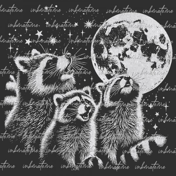 Raccoon Illustration, Playful Raccoons, Raccoon Wildlife, Raccoon Pictures, Raccoon Photography