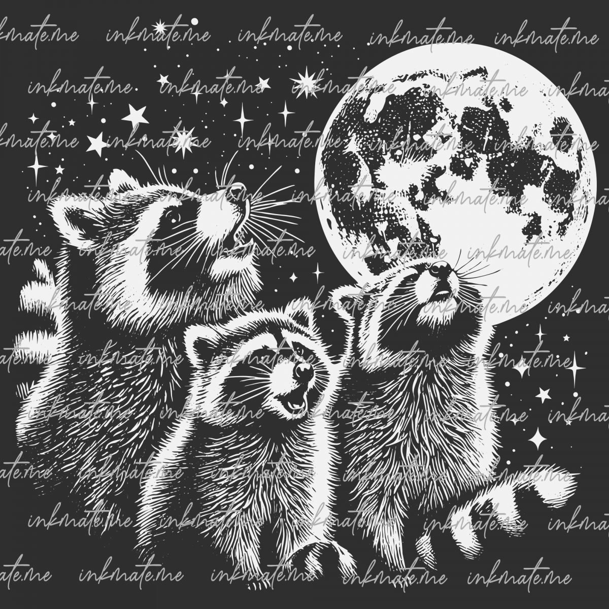 Cute Raccoons, Playful Raccoons, Raccoon Illustration, Raccoon Family, Raccoon Art, Raccoon Adventures, Raccoon Pictures, Raccoon Wildlife, Raccoon Nature