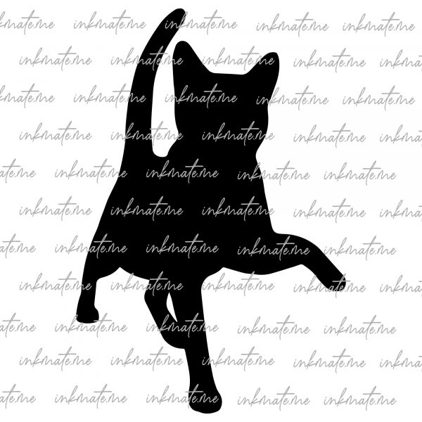 Cat Png